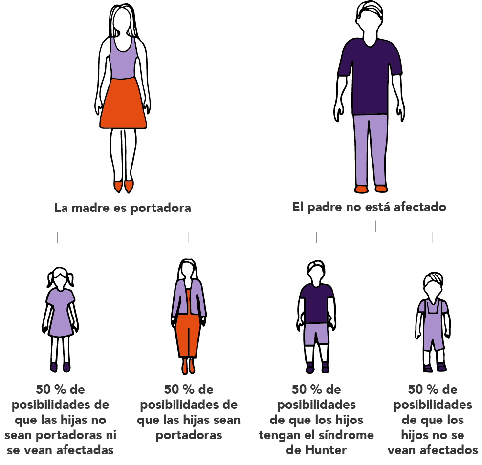 Dibujo de madre portadora del síndrome de Hunter., Padre no afectado por el síndrome de Hunter, Hija pequeña con 50% de probabilidad de ser portadora del síndrome de Hunter, Hija mayora con 50% de probabilidad de ser portadora del síndrome de Hunter, Hijo major con 50% de probabilidad de ser afectado por el síndrome de Hunter, Hijo pequeño con 50% de probabilidad de ser afectado por el síndrome de Hunter